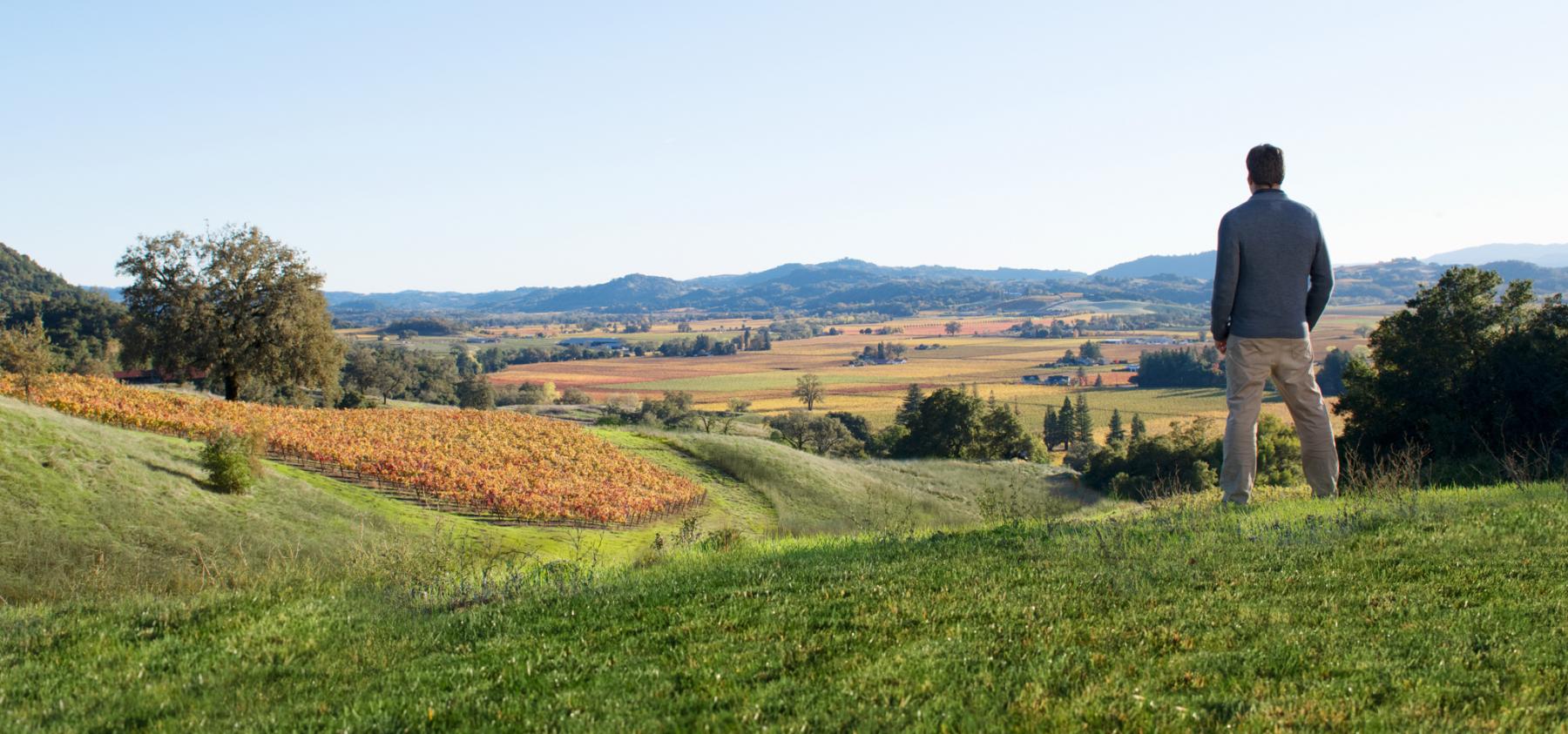 Christopher Jackson surveying vineyards 