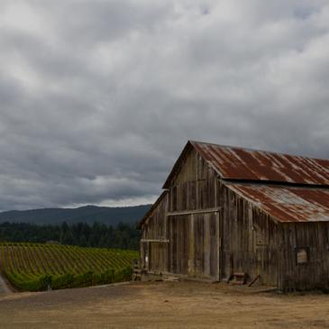 Maggy Hawk estate vineyard and barn, Anderson Valley, Mendocino County, California 
